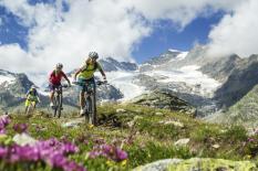 VTT dame