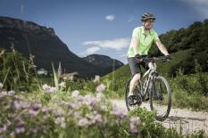 Vélo tout chemin