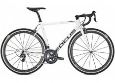 Focus Izalco Max 
