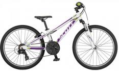 Scott Contessa Jr 24  