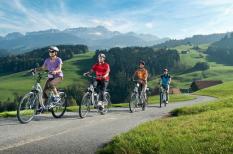 E-bike City/Treking